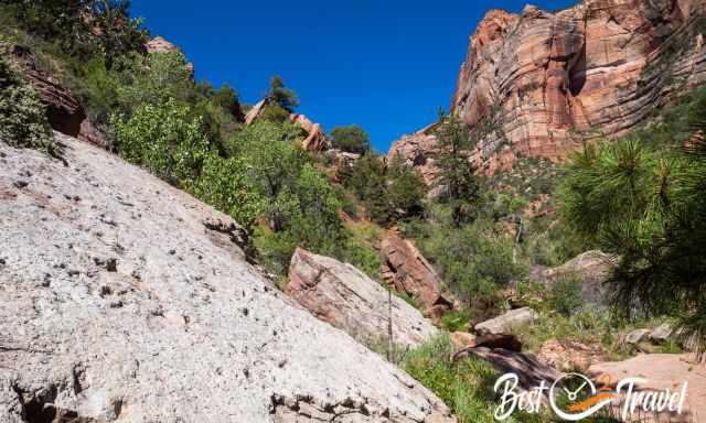 Dinosaur tracks are left in this rock 