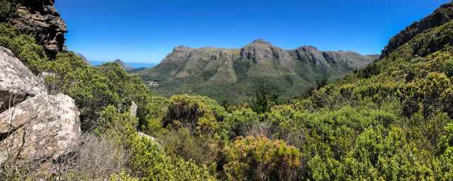 On the Table Mountain Plateau in summer