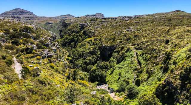 A gorge to Table Mountain