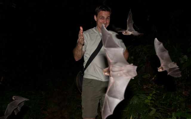 Bats navigate around arm and hand by echolocation