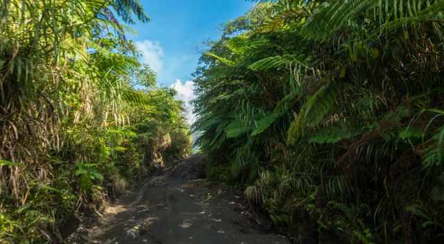 A bumpy road is leading to Yasur