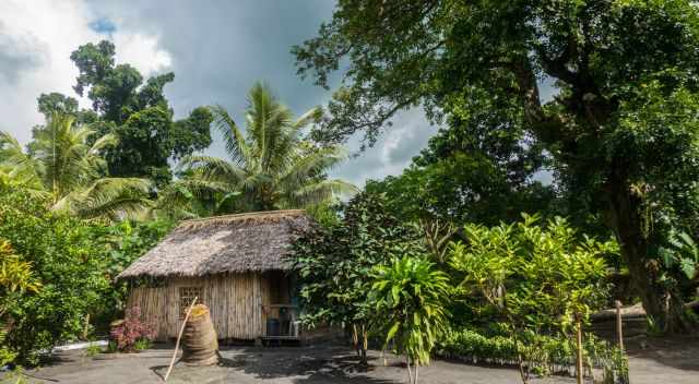 Basic huts in the village