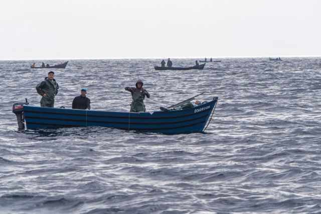 Many Moroccan fishermen boats are out in the Strait of Gibraltar.