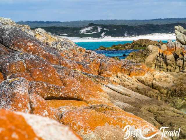 The Bay of Fire and its shimmering orange rocks and turquois sea