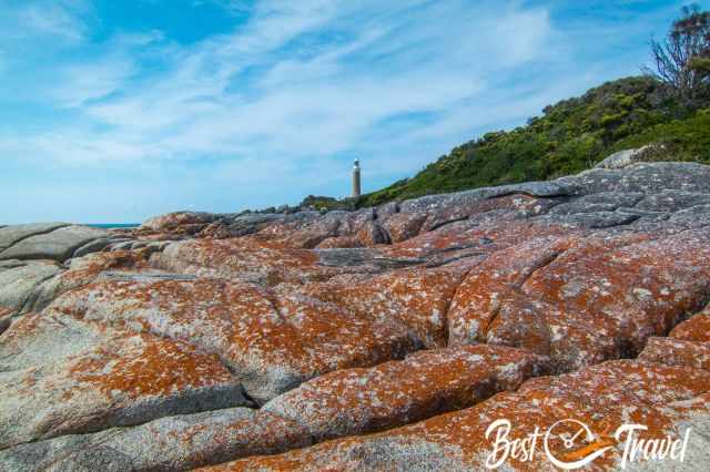 Eddystone Point with orange lichen covered rocks