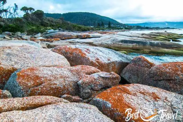 The rocky coast where penguins arrive during the day