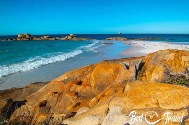 The white sand beach and the rocks with orange lichen