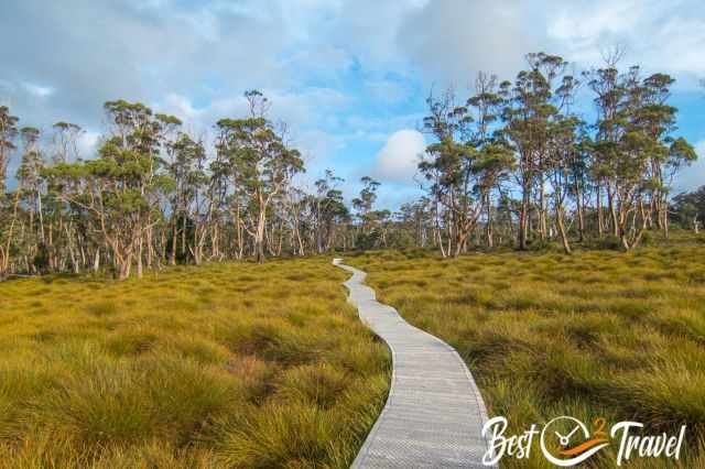 A boardwalk in the Cradle Mountain National Park