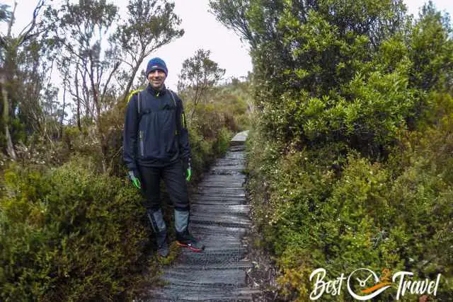 A hiker on wood panels on a boggy trail