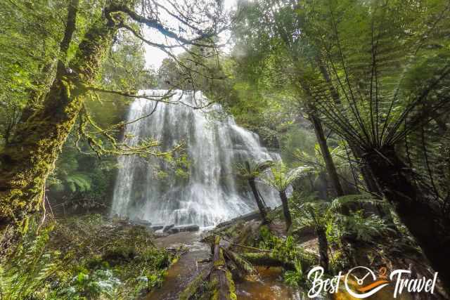 The massive flow of the Marriotts Falls after rainfall