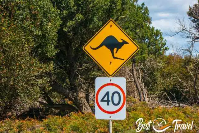 Traffic sign warning for kangaroos - speed limit 40
