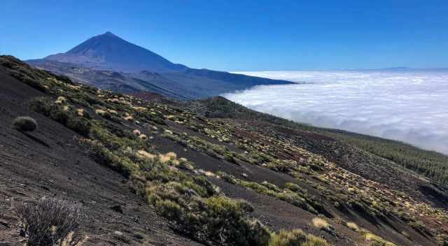 Teide in the summer above the clouds