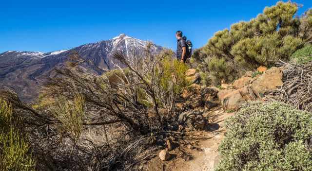 A hiker looking to Teide