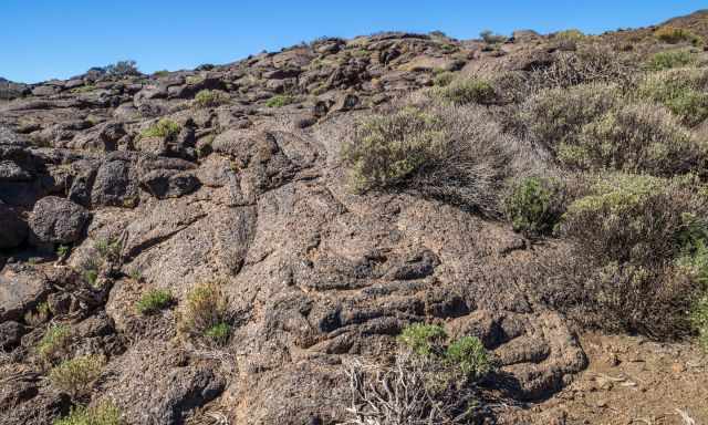 Pahoehoe lava at the Pico Viejo Trail