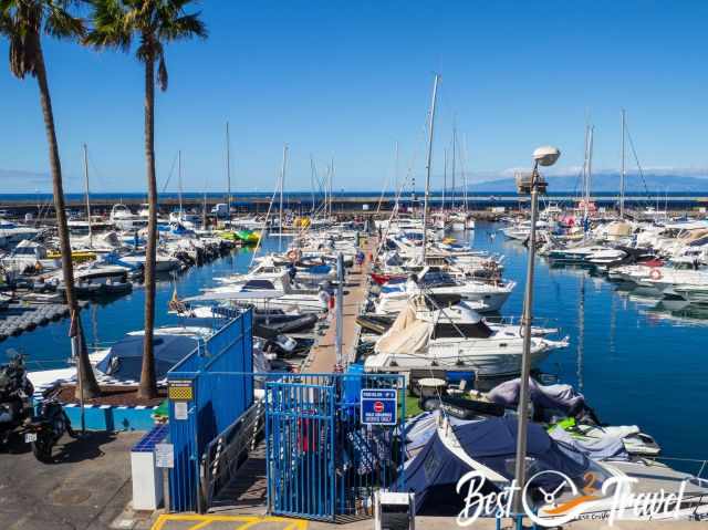 Marina in Tenerife with boats and yachts at the pier, the departure point for whale‑ and dolphin‑watching tours heading toward the deep‑sea canyon.