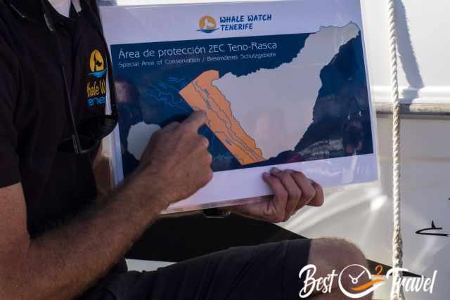 A guide from the whale watching boat explaining the underwater canyon.