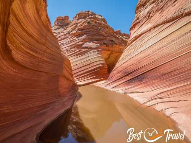 A butte of the Wave shimmered in the puddle.