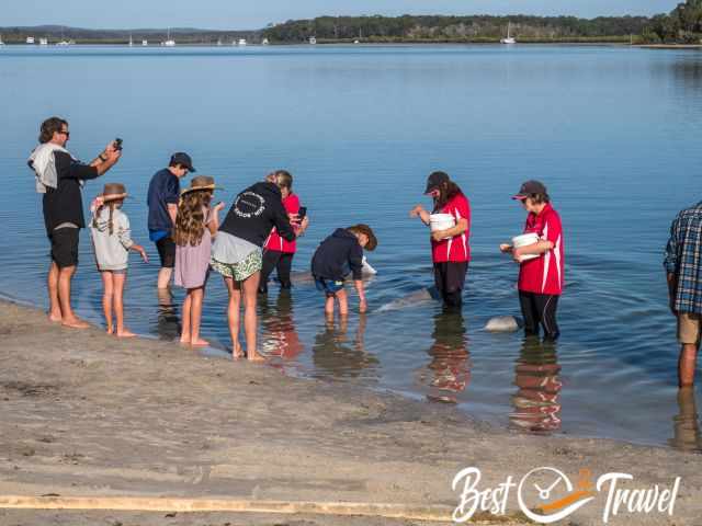 A family with kids are feeding a dolphin.