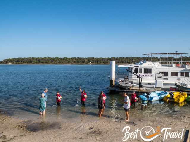 A few visitors are feeding the dolphins