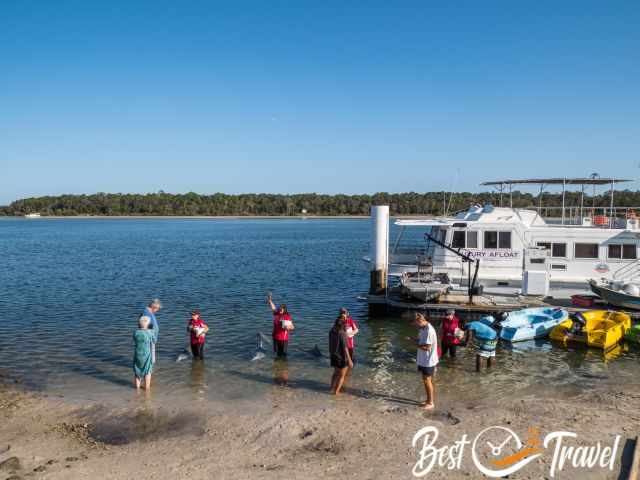 A few visitors are feeding the dolphins