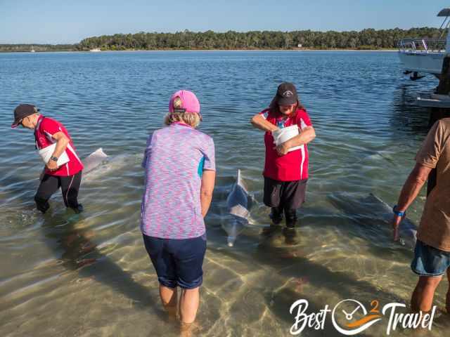 A woman in front of a dolphin and the volunteer.