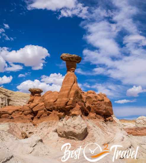Another perspective of the most popular toadstools hoodoo