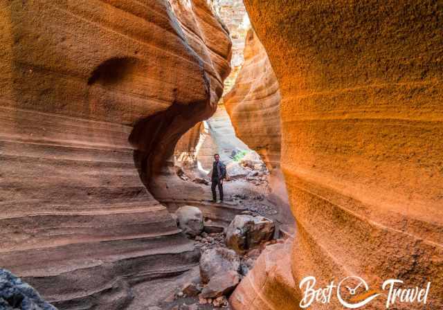 A visitor standing on a rock in Vacas Canyon