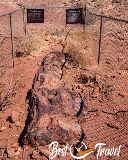 Petrified Log - trunk in the Valley of Fire