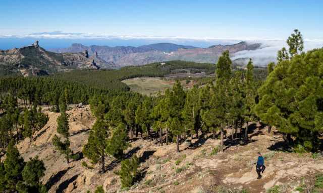 Roque Nublo and Roque Bentayga