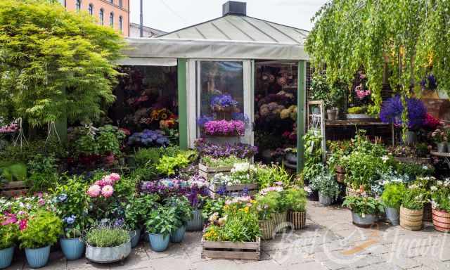 One of the many flower stalls at Viktualienmarkt