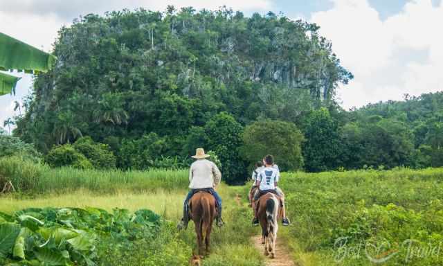 A horseback ride in Vinales
