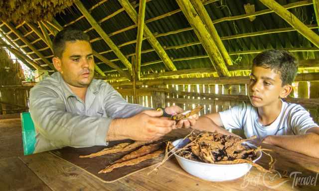 A farmer from Cuba rolling a cigar to perfection.