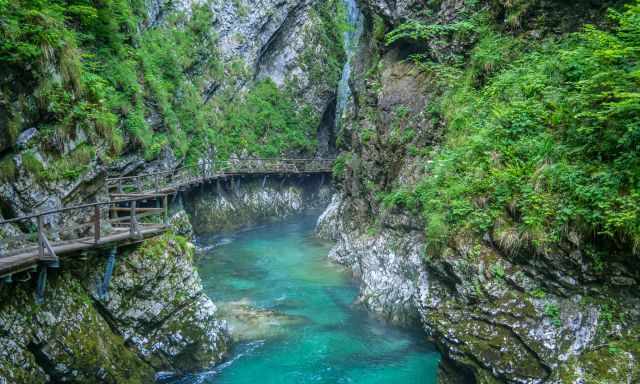 Turquois blue and clear water in Vintgar Gorge