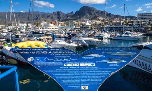 Puerto Colon Harbour with the mountain range in the back.