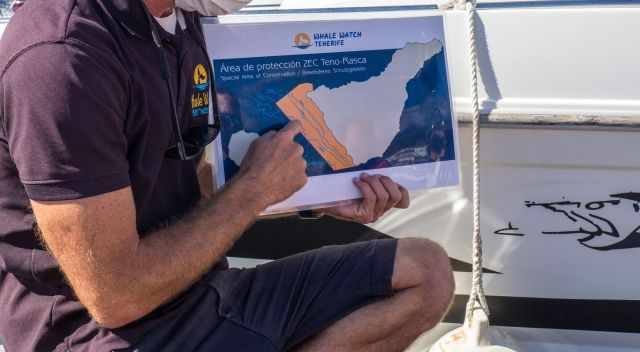 Tour Guide explanation about the deep underwater canyon.