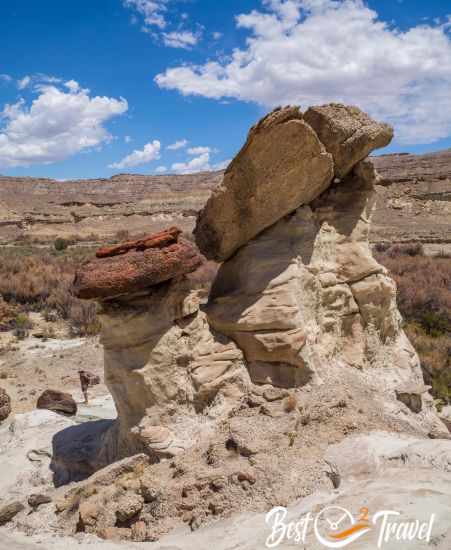 One hoodo with brown and one with red head