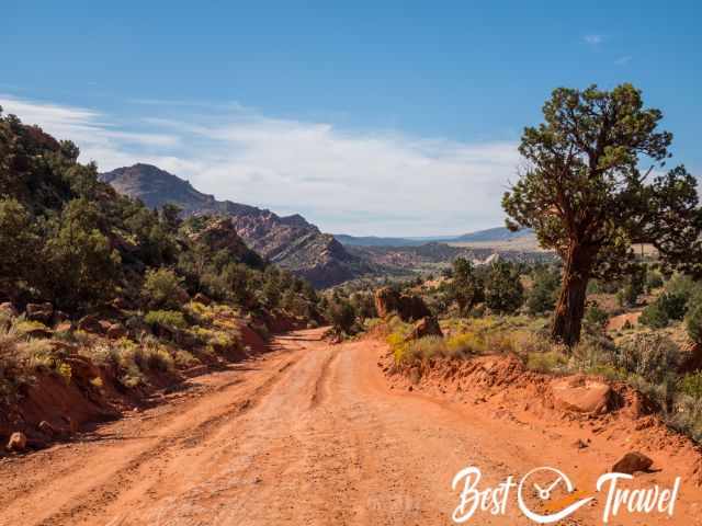 The bumpy and sandy road to Wire Pass.