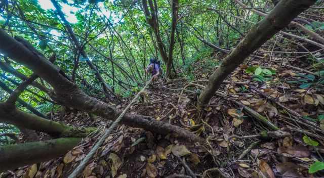 Wavine Cyrique steep climb down to the beach