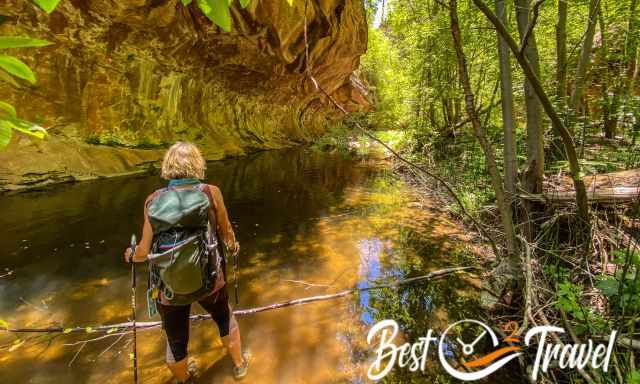 The deep pools in the creek