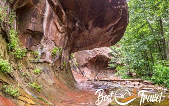 The subway like shaped canyon at West Fork Trail