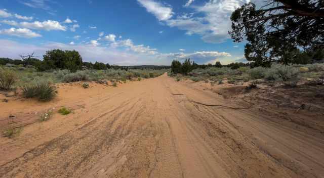 Pine Tree Road to White Pocket