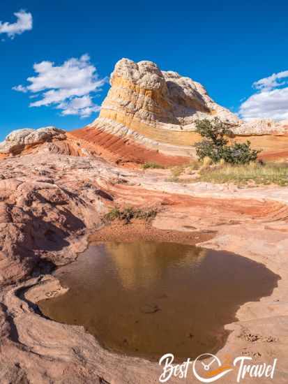 A puddle in front of a yellow, white and reddish rock formation.