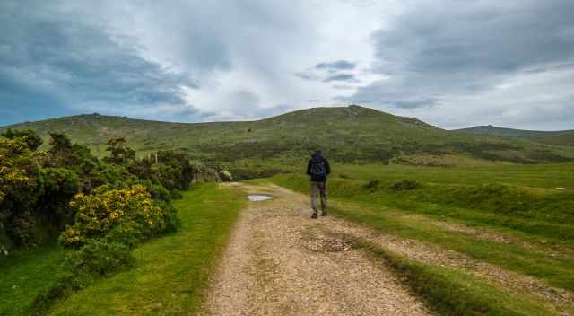 A hiker on the Widgery Cross Walking Track