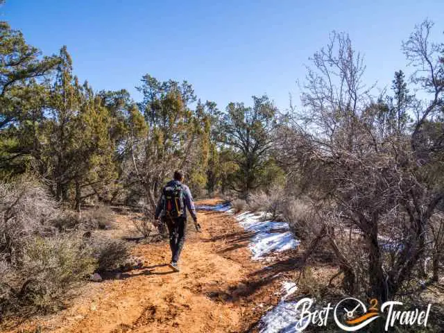 The trail to Yant Flat through the sand