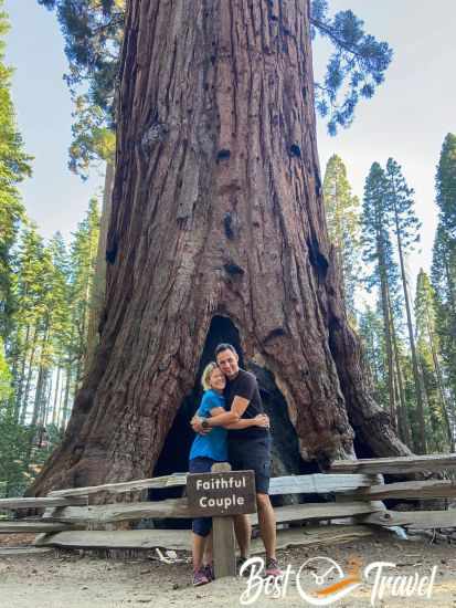 A couple in front of two massive sequoias