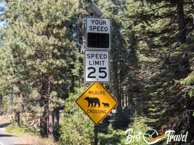 A warning sign for black bears.