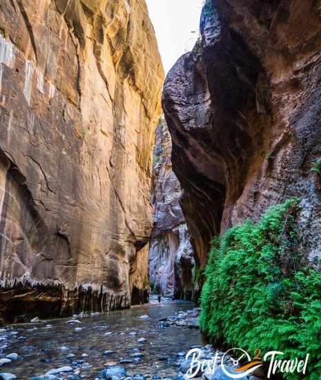 When sunlight reaches the canyon walls vegetations grows