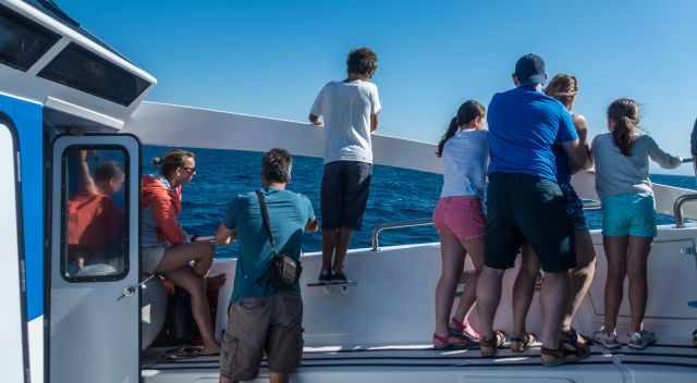 People watching whales from the whale watching boat 