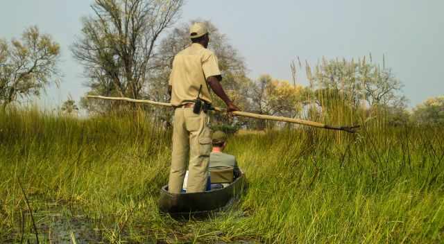 Guided Mokoro Tour in the Okavango