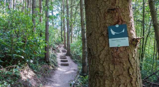 Geierlay loop trail through forest - Hiking Sign